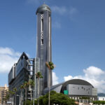 2025/2/20 第11回自己心膜等による大動脈弁再建術勉強会